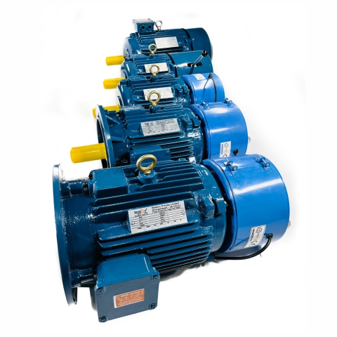 AC Brake Motor